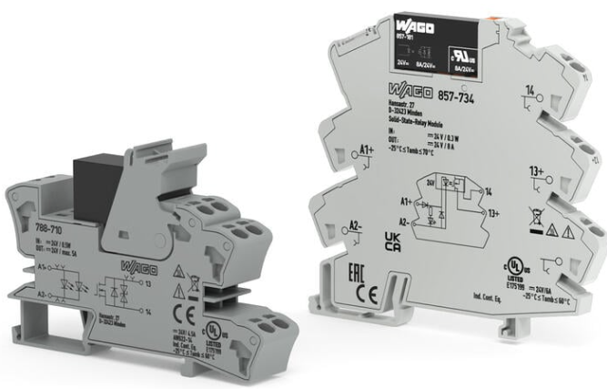 Image 69036a1b6ace473a894efad0