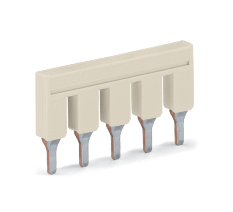 Image 6906135499119f3b0078bf6c