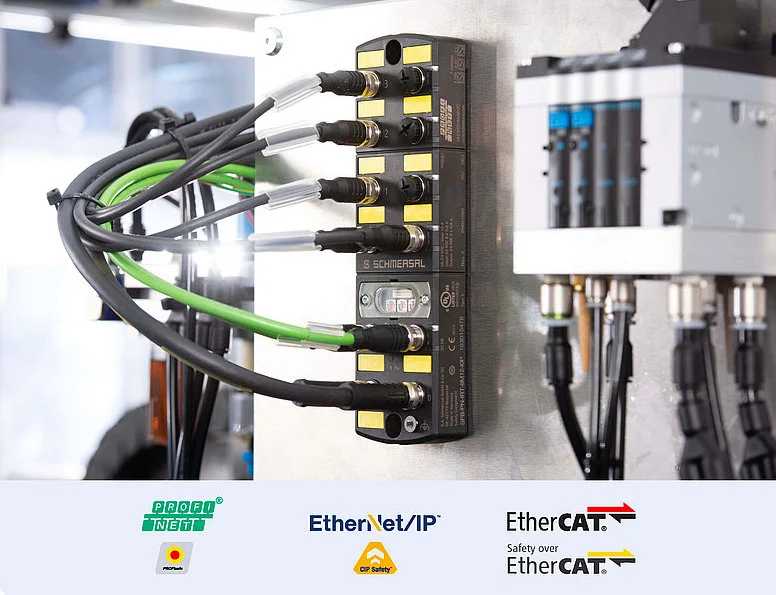 Image 69ce230787d34334a6772295