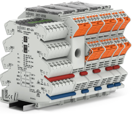 Image 69018b9f6ace473a894e9f9a