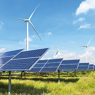 Image 693138ff68cc98b09bc852d3