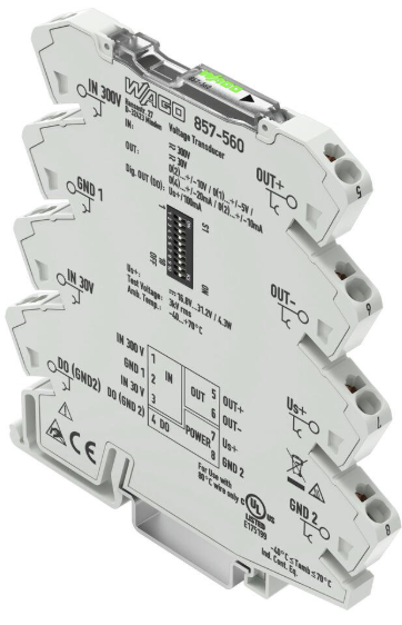 Image 6919841668cc98b09bc472af